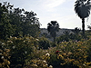 Beit Shemesh. Garden in the city center