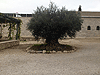 Монастырь Бейт-Джамаль