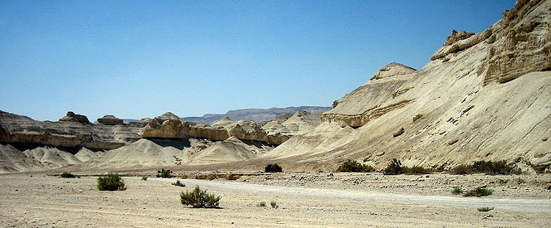 Salt of Dead Sea