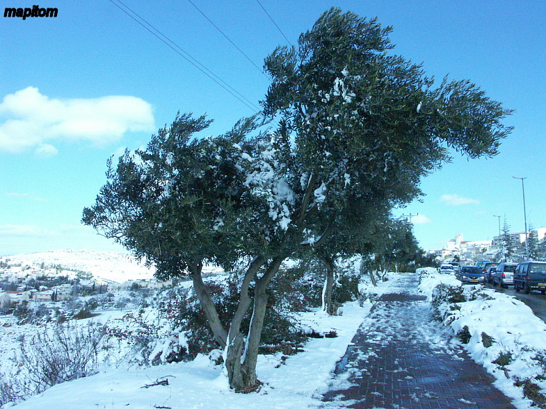 Snowy Efrat