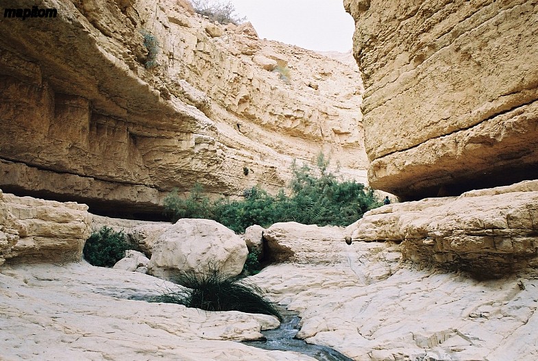 Ein Gedi