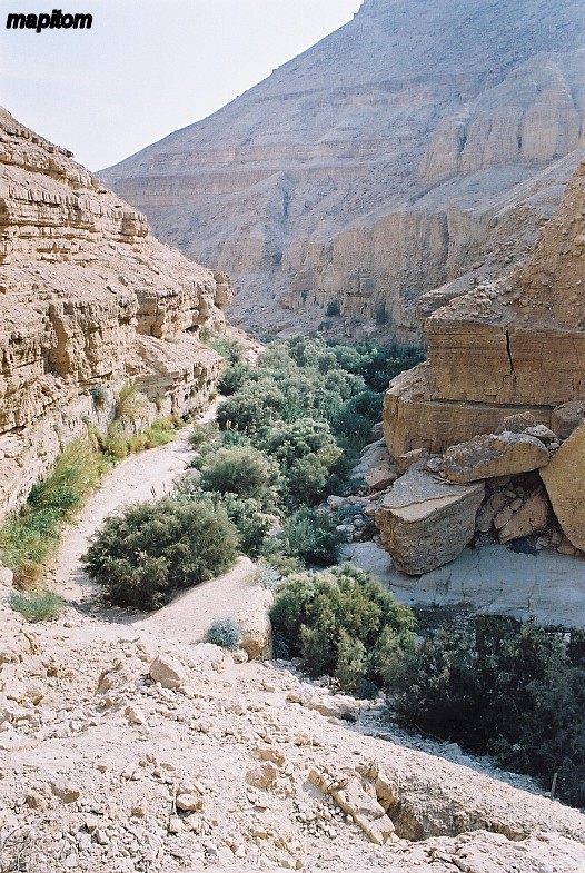 Ein Gedi