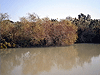 Fish ponds in the Ein Afek nature reserve