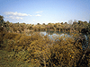 Fish ponds in the Ein Afek nature reserve