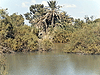 Fish ponds in the Ein Afek nature reserve