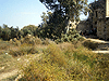 Crusaders flour mill in the Ein Afek nature reserve