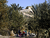 Crusaders flour mill in the Ein Afek nature reserve