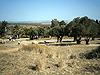 Ein Afek Nature Reserve