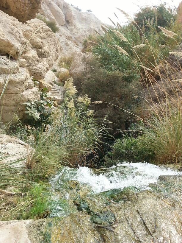 Autumn in Ein Gedi