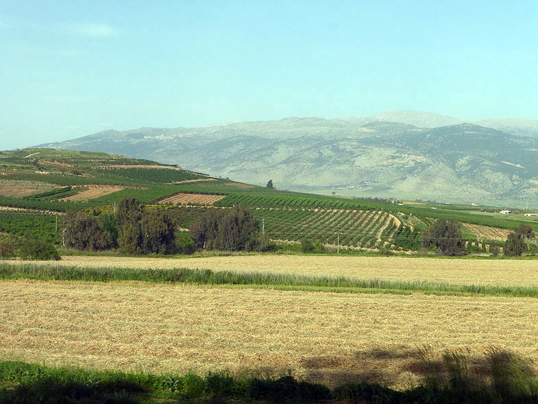 Galilee Panhandle