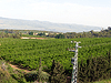 Galilee Panhandle