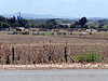Kibbutz Evron