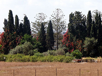 Kibbutz