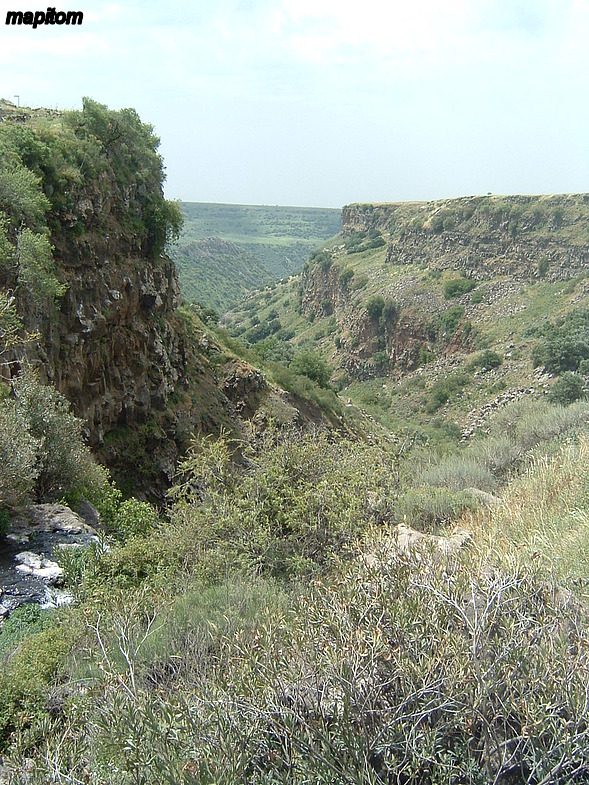 Gamla Nature Reserve 