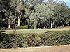 Haifa. Eli Cohen garden