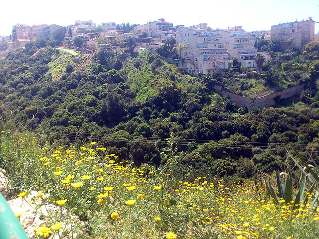 Haifa. View of the Nahal Lotem from Kiryat Sprinzak