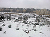 Хеврон под снегом