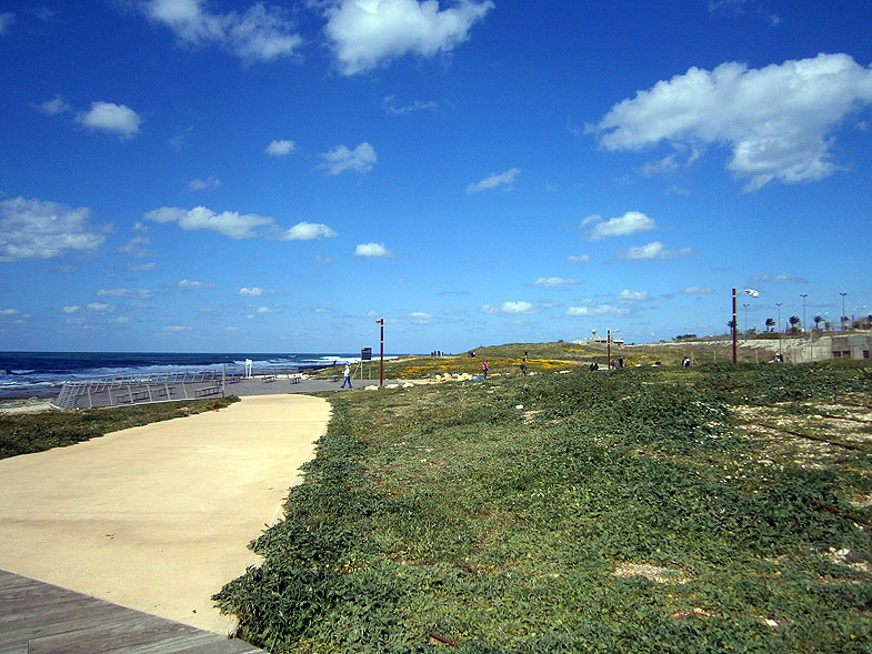 חוף הכרמל