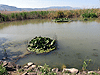 Hula Lake Park