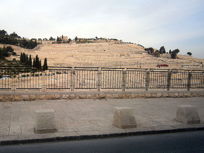 Иерусалим. Масличная гора 