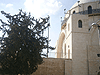 Jerusalem. Hurva Synagogue