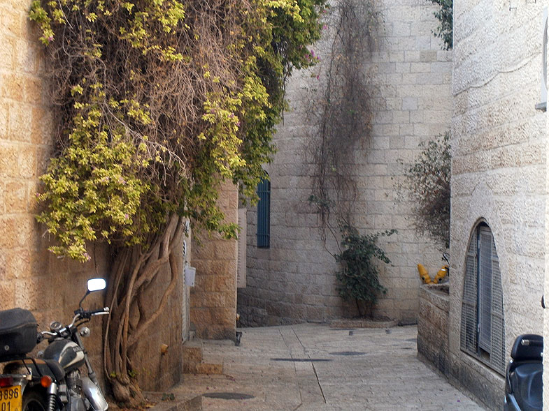 Jerusalem. Jewish Quarter of the Old City