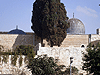 Jerusalem. Western Wall