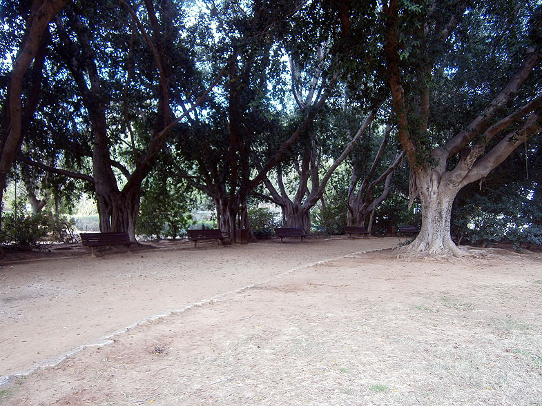 Мемориальный сад в Кфар-Сабе
