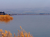 Fishing on the Sea of Galilee