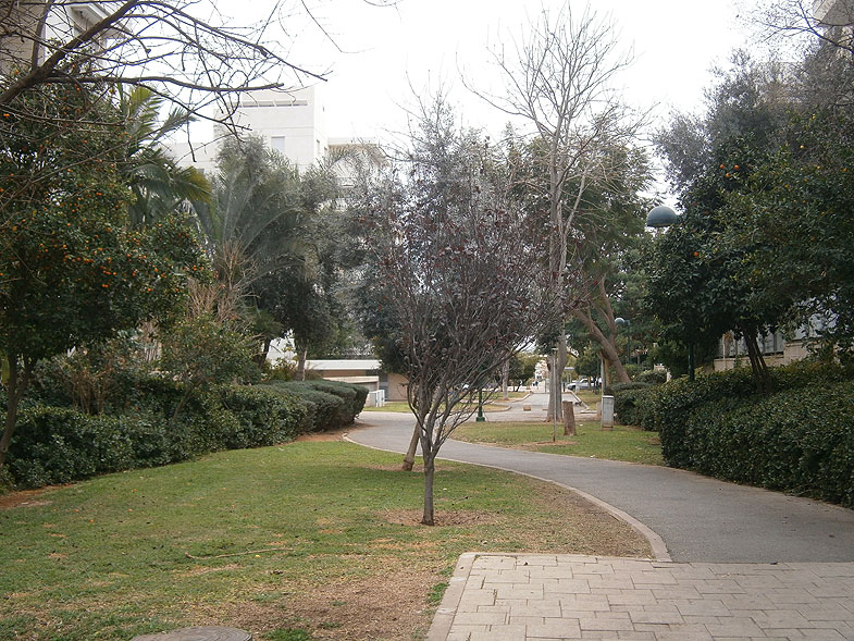 Kiryat Ono. Ben Yehuda street