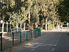 Kiryat Yam. Szold Garden