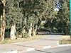 Kiryat Yam. Szold Garden