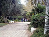 Haifa. Louis Promenade