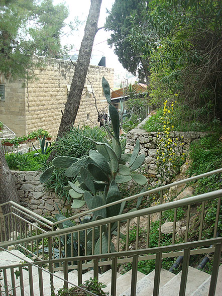 Jerusalem. Church of Maria Magdalene