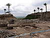 Megiddo National Park