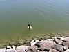 Озеро Монфорт