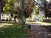 Kiryat Motzkin. Park in Dulchin street