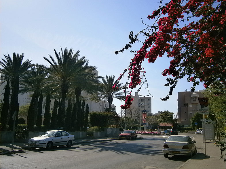Kiryat Motzkin. Yigal Alon street