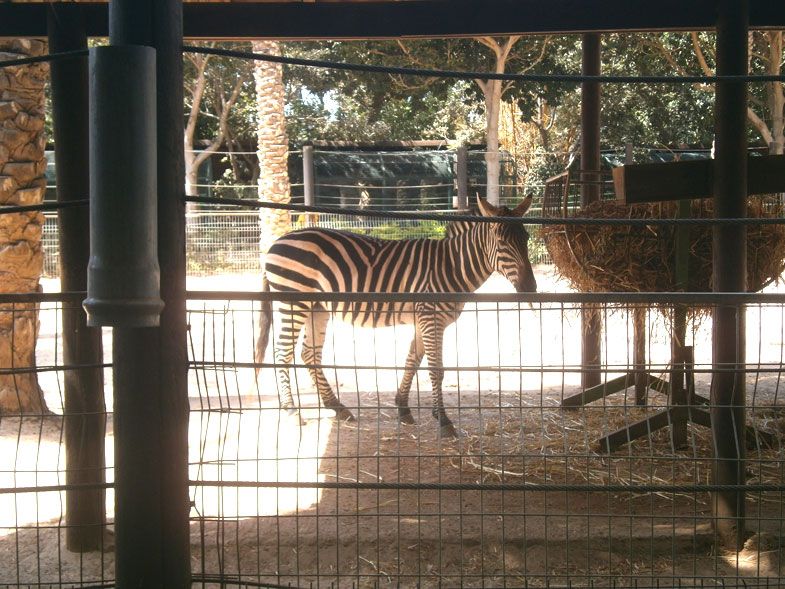 Kiryat Motzkin. Zoo