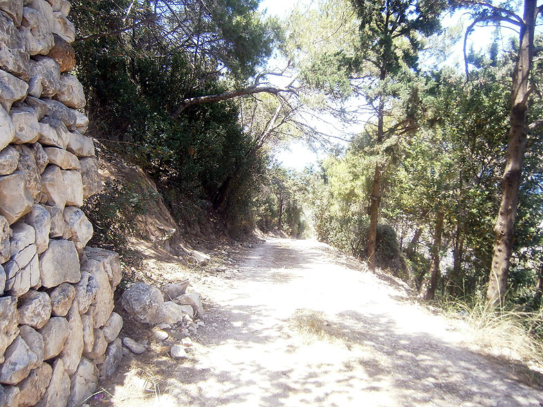 Haifa. Mount Carmel