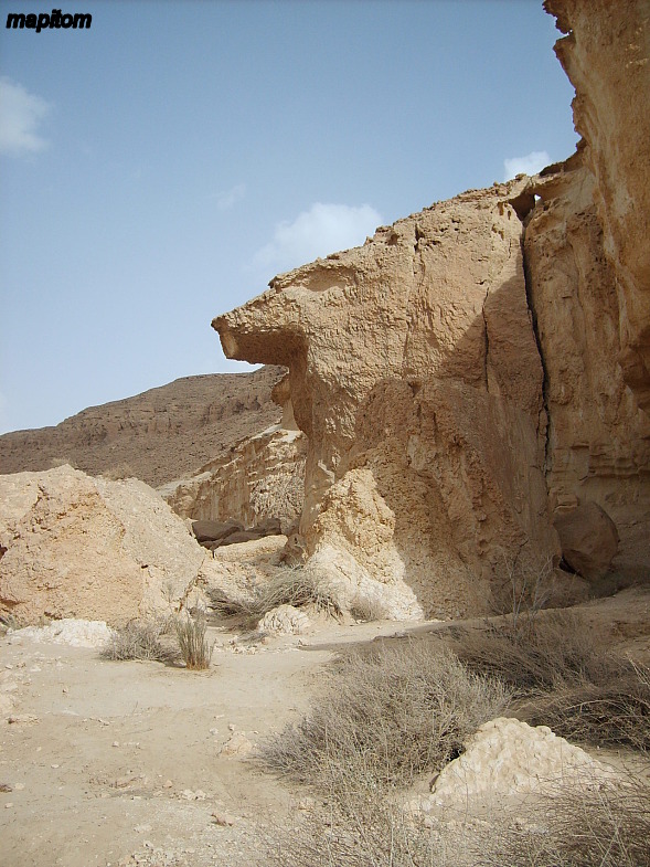 Negev and Arabah. Negev Desert