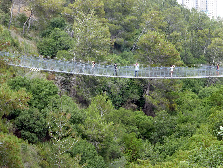 Nesher Park with Hanging Bridges