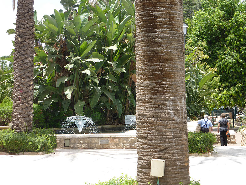 Пальмовая аллея в Ришон-ле-Ционе