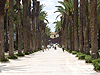 The Palm Boulevard at Rishon LeZion