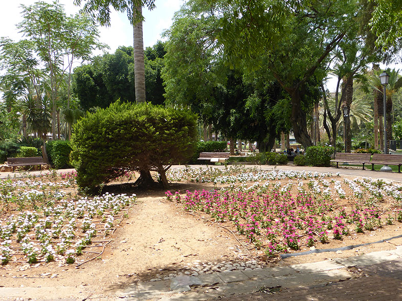 Городской сад Ришон-ле-Циона