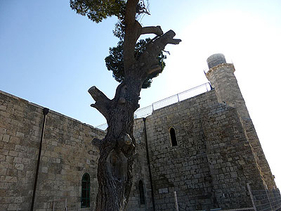 Tomb