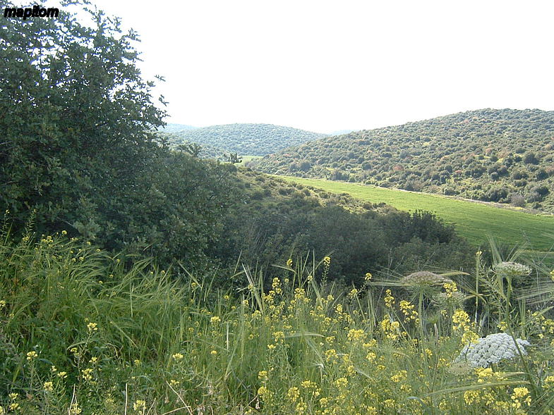 Valley of Elah