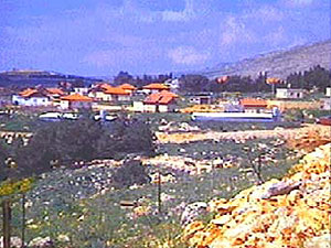 Avivim. Photo: galil-net.org.il