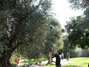 Beit HaEmek. Photo: matteasher.org.il