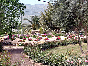 Beit Hillel. Photo: mvhr.org.il